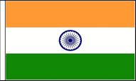 India Hand Waving Flags